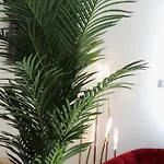 Olga Luxury I 5 Min From Airport I Location I Traditional Village Daire